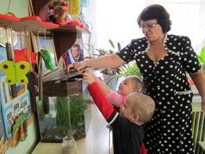 Опис: C:\Users\эксперт\Desktop\images\img_0871.jpg