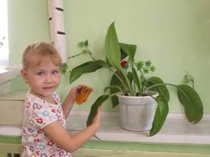 Опис: C:\Users\эксперт\Desktop\images\475784.jpg