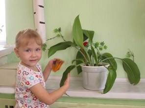 Опис: C:\Users\эксперт\Desktop\images\475784.jpg