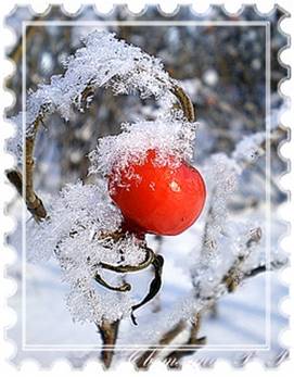 здрастуй зима