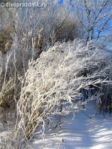 природа взимку